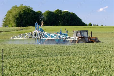 Application de fongicide sur champ de blé