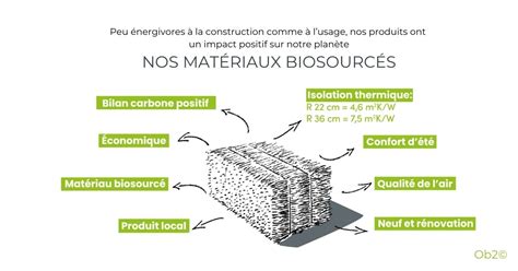 Infographie comparant les avantages des liens biodégradables (chanvre, sisal) par rapport aux liens synthétiques