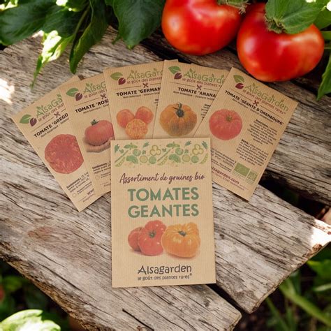 Assortiment de graines de tomates biologiques