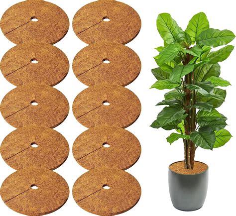 Paillis de fibre de coco au pied d'un arbre