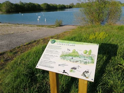 Panneau explicatif sur la flore locale de Corrèze