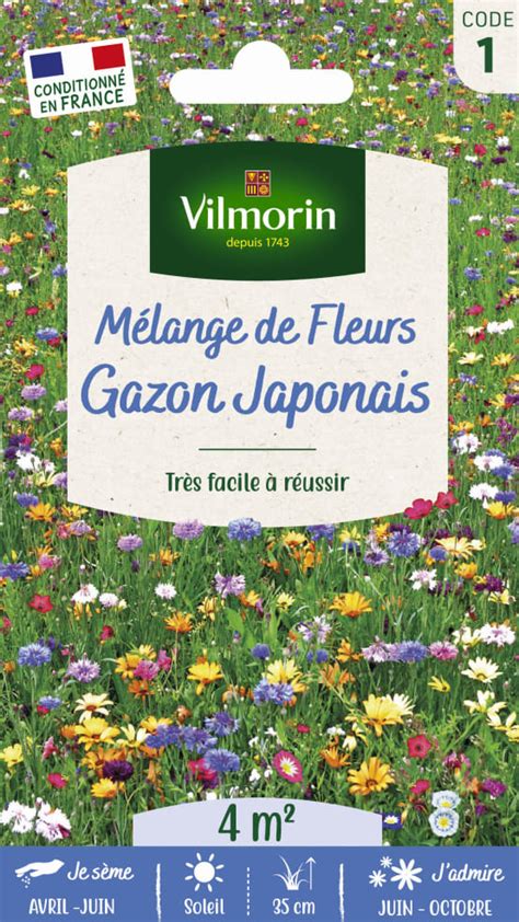 Illustration d'un jardin fleuri avec le gazon japonais Vilmorin