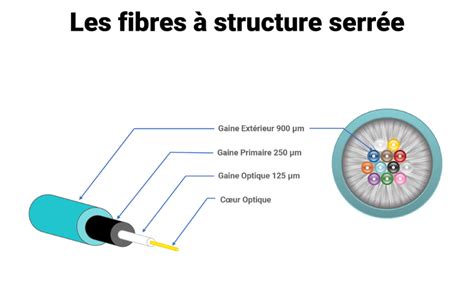 Photo macro d'une courroie renforcée au Kevlar montrant la structure interne des fibres