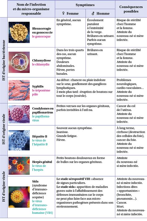 Tableau comparatif des maladies courantes du haricot et méthodes de prévention