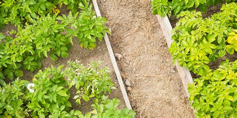 Bordure de potager en matériaux recyclés