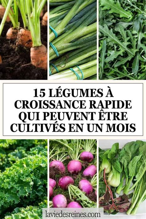 légumes à croissance rapide