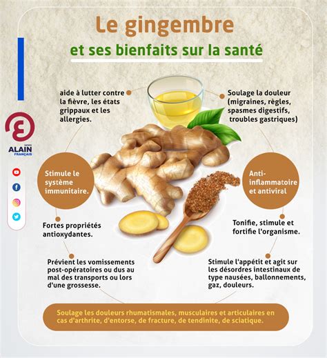 infographie montrant les bienfaits combinés du gingembre et de l'hibiscus pour la santé
