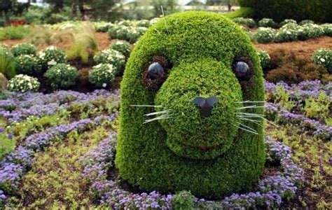 Souche transformée en sculpture végétale avec des plantes