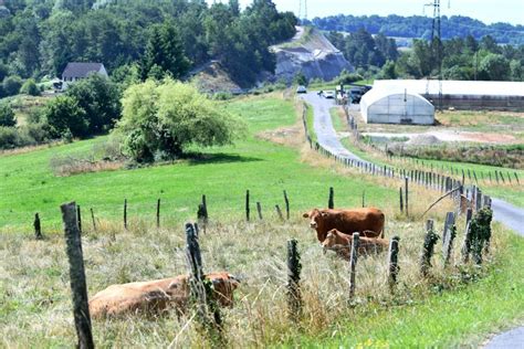 Paysage verdoyant et diversifié de la campagne creusoise propice à l'agroécologie