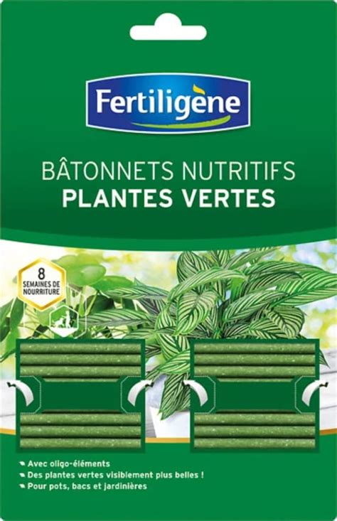 Infographie types de plantes adaptés aux bâtonnets d'engrais
