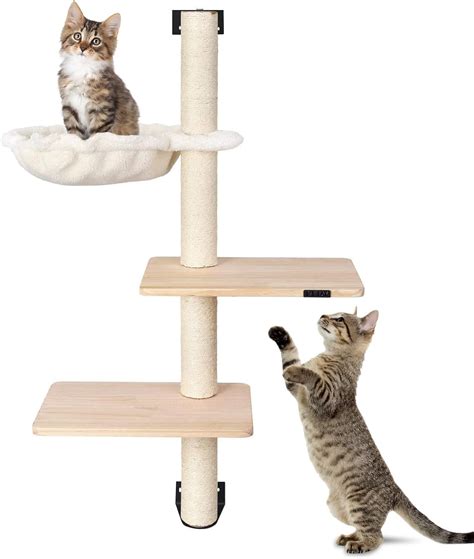 Schéma d'un arbre à chat idéal avec plateformes et sisal
