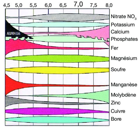 Graphique montrant la disponibilité des nutriments en fonction du pH