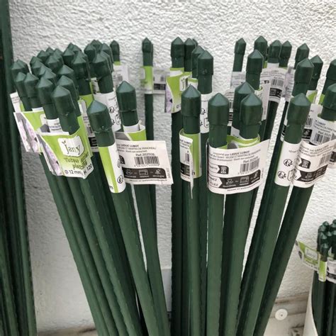 Tuteurs en acier plastifié en situation