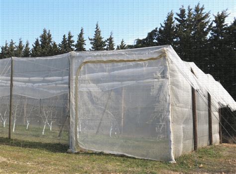 Photo d'un verger protégé par des filets anti-insectes
