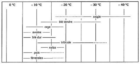 Schéma comparatif de la résistance au froid des différentes espèces fruitières mentionnées