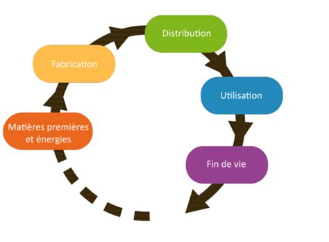 Diagramme représentant le cycle de vie d'une entreprise, de la création à la radiation d'un établissement