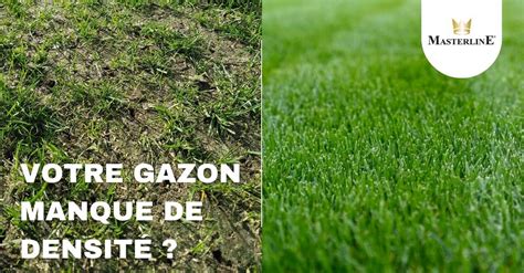 Schéma illustrant les différentes causes d'un gazon clairsemé