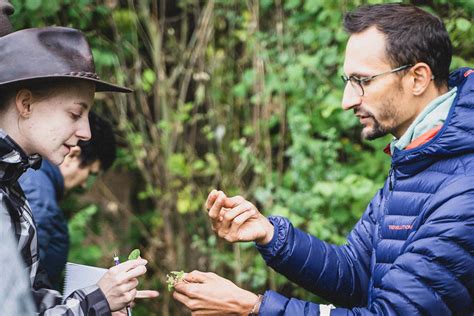 Personne identifiant des plantes sauvages dans une forêt