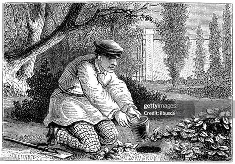 Illustration ancienne représentant un jardinier observant le ciel