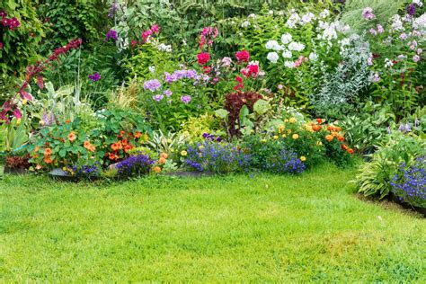 jardin de fleurs biologiques
