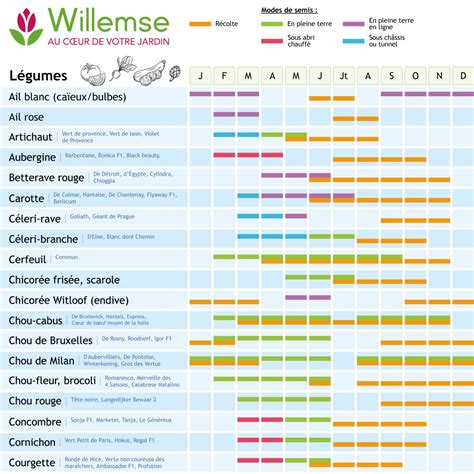 Calendrier de plantation des iris