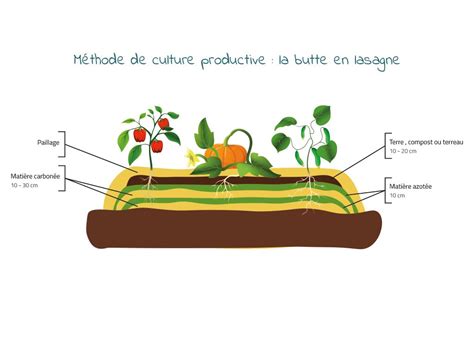 Diagramme des différentes couches de la méthode de culture en lasagne