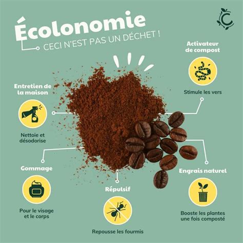 Illustration montrant le marc de café séché dans une coupelle, prêt à être utilisé comme produit ménager naturel.