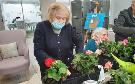 Exemple d'activités proposées en EHPAD (atelier mémoire, jardinage, zoothérapie)