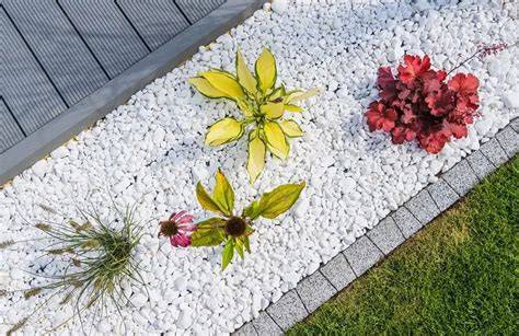 Illustration d'un parterre de fleurs moderne mis en valeur par une couche uniforme de copeaux de bois rouge contrastant avec le feuillage vert