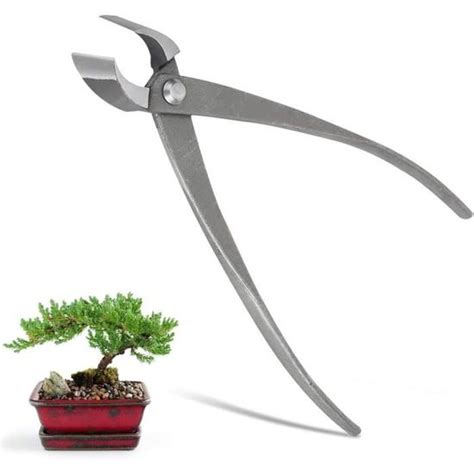 Photographie montrant l'utilisation correcte d'une pince concave sur une branche de bonsaï