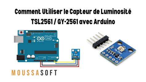 Schéma illustrant l'intégration d'un capteur de sol dans un pot de bonsaï avec une connexion vers une passerelle LoRaWAN