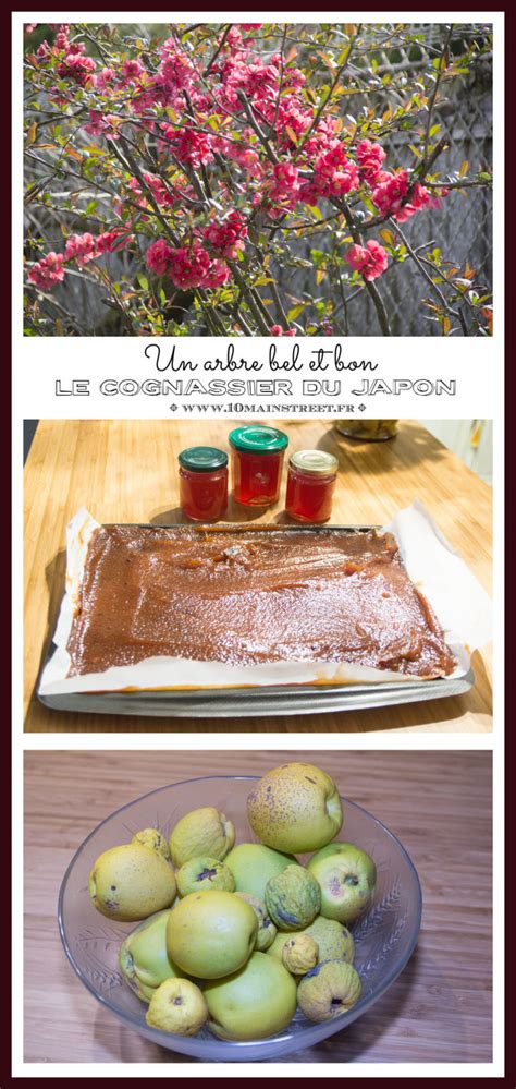 Gelée de cognassier du Japon faite maison