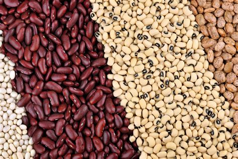 Infographie des valeurs nutritionnelles clés des haricots secs