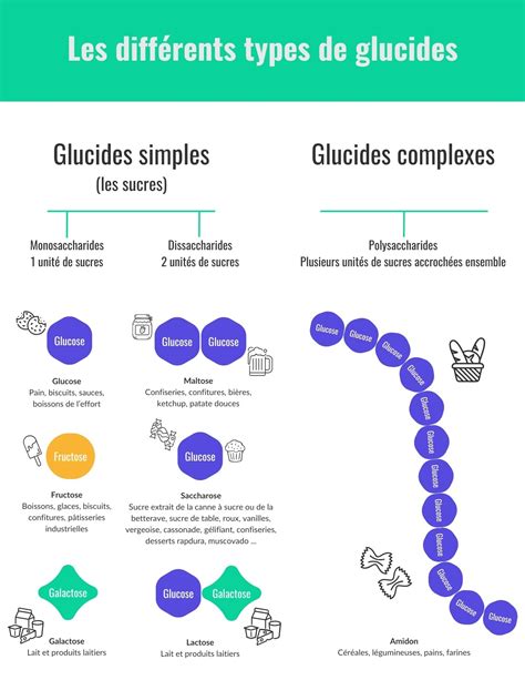 Infographie comparant l'action des engrais lents et rapides