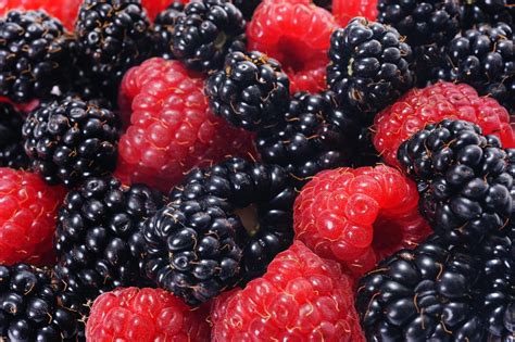 Framboises et mûres entrelacées