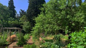 Jardin permaculturel avec diverses plantes