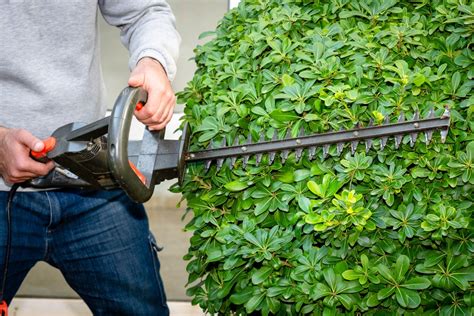 Outil de taille pour jardin