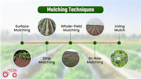 mulching technique