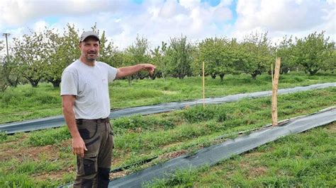 Verger traditionnel dans le Berry