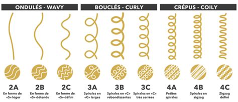 Comparatif visuel des différents types de boucles et des produits recommandés pour chaque catégorie