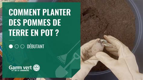 Matériel pour planter les pommes de terre en pot