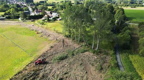 Les tondeurs en pleine action, mettant en lumière la précision du geste et la maîtrise de l'outil