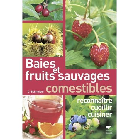 Tableau comparatif des fruits sauvages comestibles et non comestibles