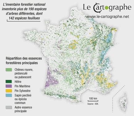 Carte botanique montrant la répartition des principales espèces ligneuses en Europe