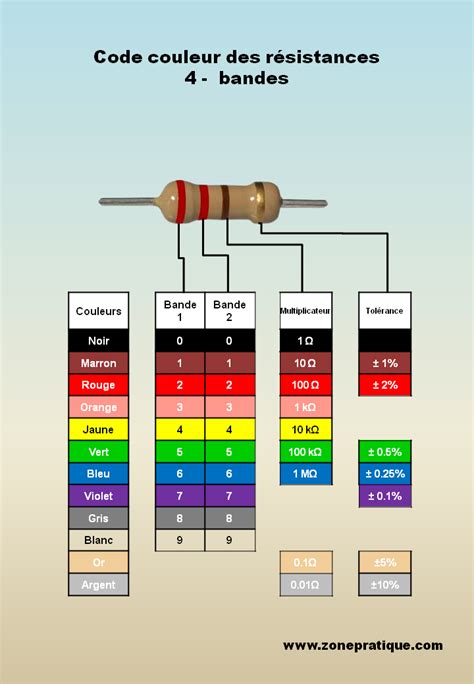 Infographie présentant le code couleur des cônes en fonction du diamètre des pots