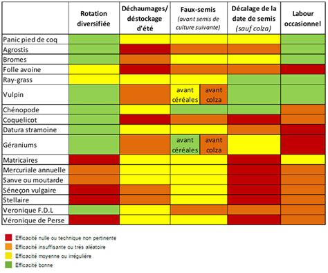 Diagramme comparatif montrant l'efficacité du désherbage selon le type de végétation (annuelle vs vivace)