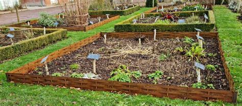 Illustration d'un potager structuré avec des bordures en plessis tressé