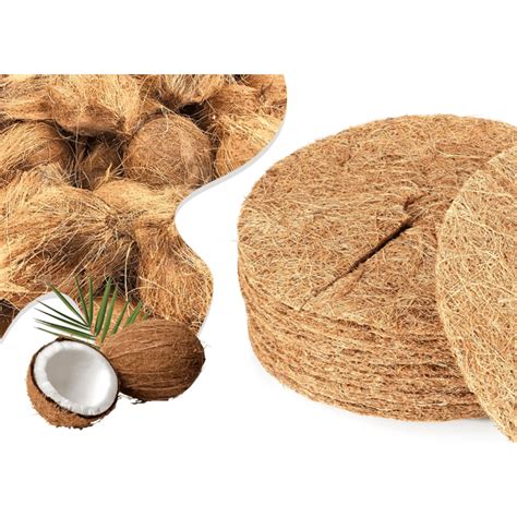Illustration d'un disque de paillage en fibre de coco ou laine posé au pied d'un arbuste