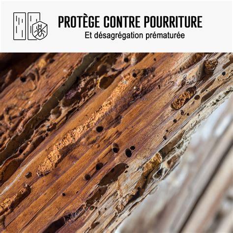 Photo comparative d'un bois mort avant et après traitement au chalumeau
