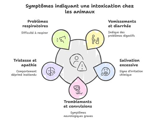 infographie sur les symptômes d'intoxication chez les animaux